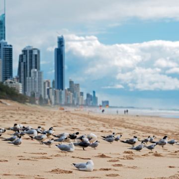 澳大利亚布里斯班+黄金海岸8日7晚私家团