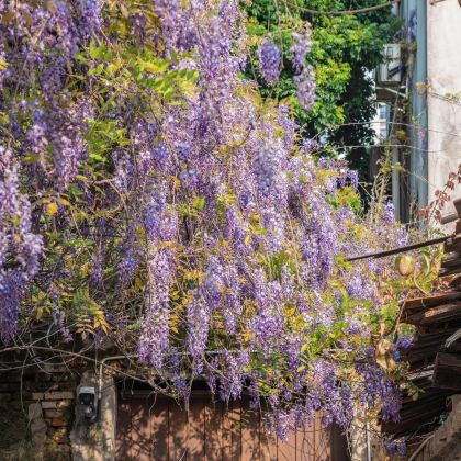 福州+平潭+泉州5日4晚私家团