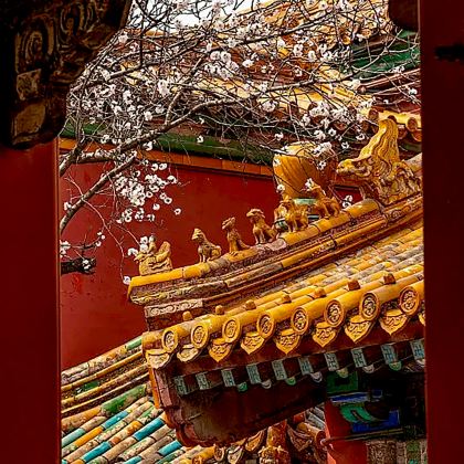 北京6日5晚私家团