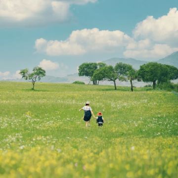 张家口+崇礼区+乌兰布统旅游区+坝上+承德5日4晚拼小团