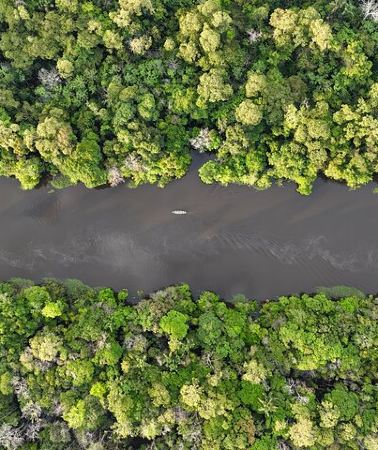 3D2N • 3 Day Amazon Jungle Adventure Wildlife Culture and Pink Dolphins