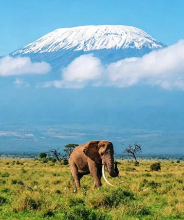 4D3N • Maasai Mara National Reserve in Kenya + Lake Nakuru & 4-Day Safari Adventure