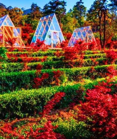 3日2晚 • 韶關3天團 · 《楓的季節+金秋大閘蟹》嶺南紅葉世界賞秋楓 保證入住國際品牌~Wyndham Garden韶關新盟温德姆花園酒店(私家温泉泡池露台房) +韶關翁源希爾頓惠庭酒店