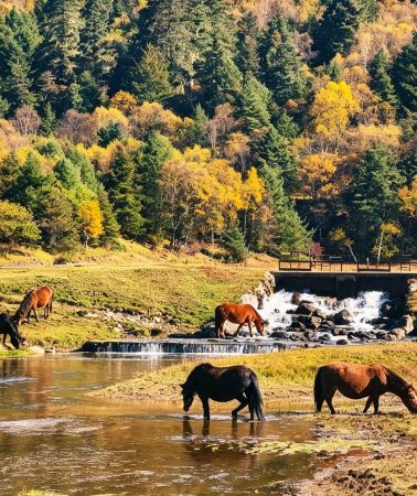 8D7N • No surcharge for Christmas & Flexible and adjustable itinerary: Kunming + Dali + Lijiang + Shangri-La - 3 UNESCO Wonders + Private Vehicle + Attraction Tickets + 2 High-Speed Train Experiences