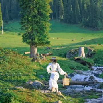 新疆伊犁+赛里木湖+那拉提旅游风景区8日7晚私家团