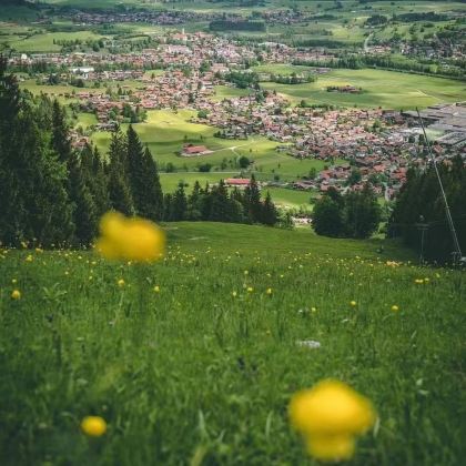 德国柏林+科隆+卢森堡+黑森林9日8晚拼小团