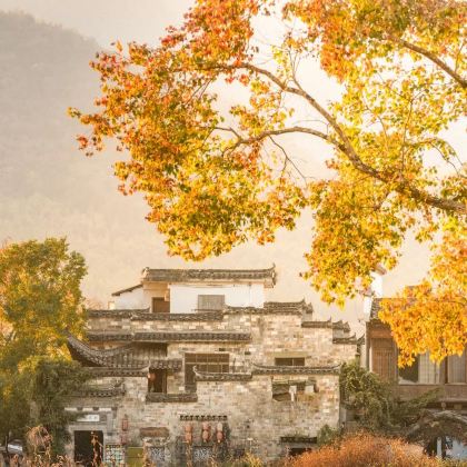 黄山+石潭村+许村3日2晚自由行