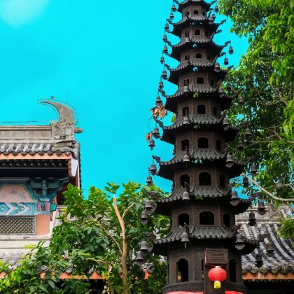 海口+三亚+儋州+五指山9日8晚私家团