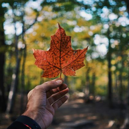 加拿大魁北克城+渥太华+多伦多+蒙特利尔+尼亚加拉瀑布6日5晚私家团