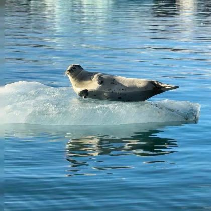 冰岛10日9晚私家团
