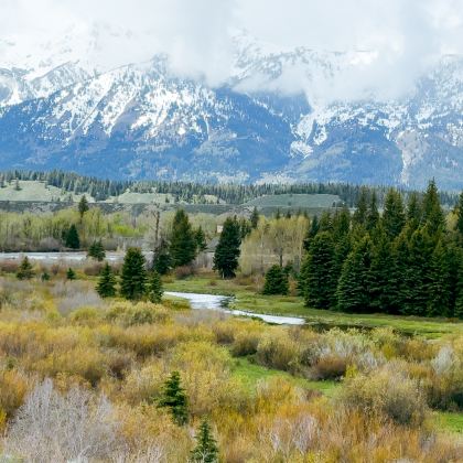 美国盐湖城+黄石国家公园5日4晚跟团游