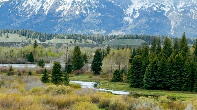 5-Day Yellowstone National Park Tour from Salt Lake City·Grand Teton, Artist Point, Yellowstone Bear World, Hayden Valley
