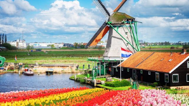 <3天>【易游欧洲 1人成团】欧洲4国·法国+德国+荷兰+比利时+法兰克福+阿姆斯特丹+布鲁塞尔+巴黎+风车村（单人免费拼房/可加购团前后酒店及接送机服务）