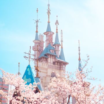 韩国首尔5日4晚私家团