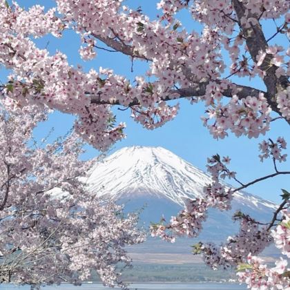 日本富士山+轻井泽町4日3晚私家团