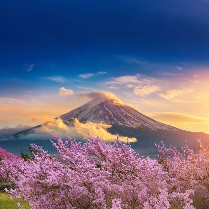 日本东京4日3晚自由行