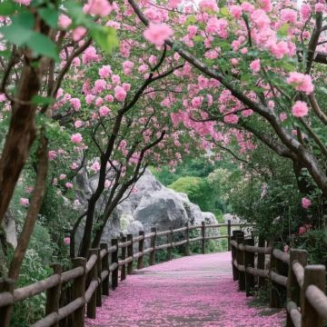 江西南昌+庐山风景名胜区+景德镇+婺源+三清山风景区+望仙谷6日5晚自由行