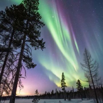 美国阿拉斯加州+珍娜温泉7日6晚私家团