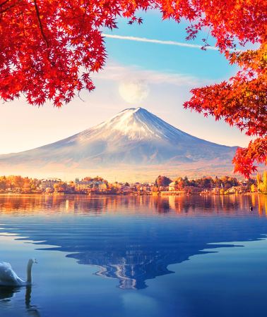 2D1N • Japan + Mount Fuji + Owakudani + Hakone & Kamakura  2-Day Tour (Includes 1-Night Hot Spring Hotel Stay)