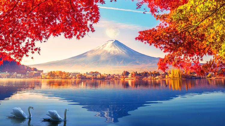 <2天>【2日1晚 · 旅行团 · 日本 富士山 · 箱根 · 伊豆 · 镰仓二日游「含一晚温泉饭店」】·日本圣山富士山+灌篮高手动漫巡礼镰仓+箱根网红神社鸟居+中或英语司兼导或导游全程陪同镰仓