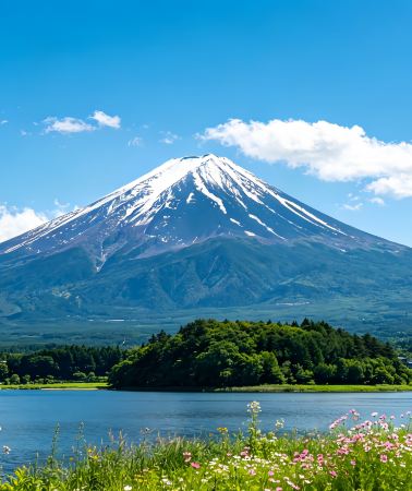 3D2N • Tokyo Coastal Odyssey: Kamiiso Torii + Hitachi Seaside Park + Ushiku Great Buddha + Fuji Heritage Center + Kawaguchiko + Takao 599 Museum