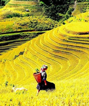 2D1N • Sapa 2 Day Trekking with 1 Night Homestay