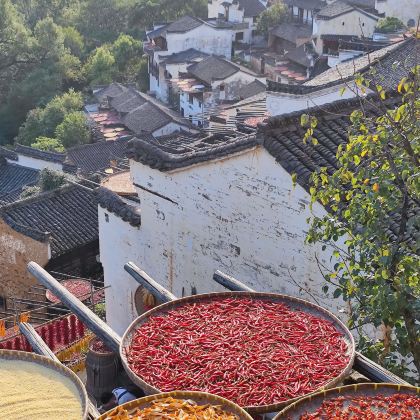 千岛湖景区+宏村景区+婺源3日2晚跟团游