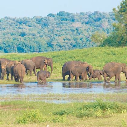 斯里兰卡+马尔代夫8日7晚自由行