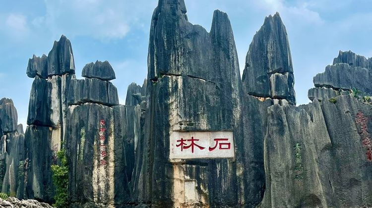 7-Day Yunnan Private Tour from Kunming· Dali, Lijiang, Shangri-La, Dianchi Lake, Tiger Leaping Gorge, Yulong Snow Mountain | Stone Forest Scenic Area