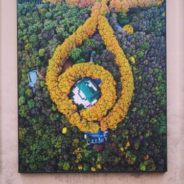 南京+常州茅山东方盐湖城+淹城春秋乐园+镇江+扬州8日7晚私家团