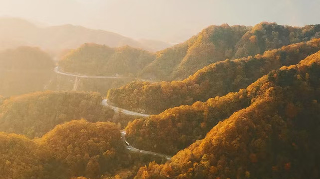 九寨沟靠谱旅行社怎么选？2025年最新五强口碑榜单出炉！