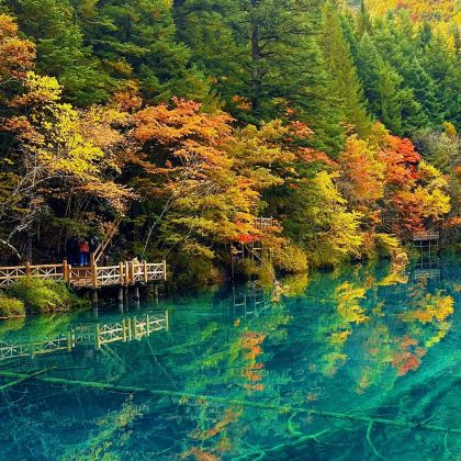 九寨沟+四姑娘山+毕棚沟+达古冰川风景名胜区+王朗大熊猫探秘营地5日4晚私家团