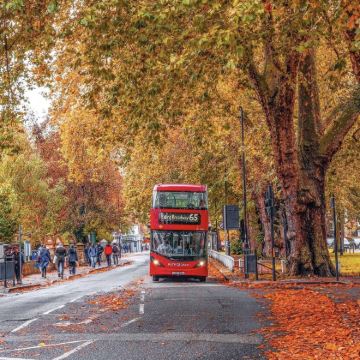 英国10日私家团