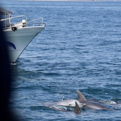 日本九州+福冈+熊本+大分7日6晚私家团