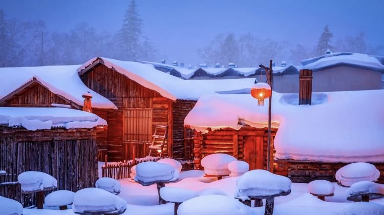 6-Day Classic Northeast China Private Tour· Harbin, Changbai Mountain, Jingbo Lake Scenic Spot, Siberia Tiger Park, Diaoshuilou Waterfall 