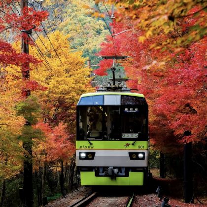 日本大阪+京都6日5晚自由行