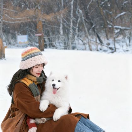 沈阳+长春+长白山+哈尔滨7日6晚跟团游