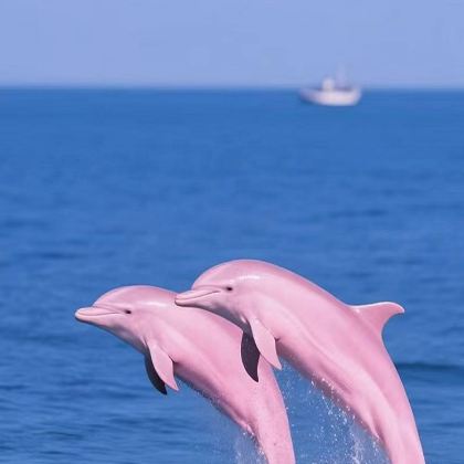 广西钦州三娘湾+犀丽湾+八寨沟+刘永福故居+苏廷有旧居+钦州老街景区3日2晚拼小团