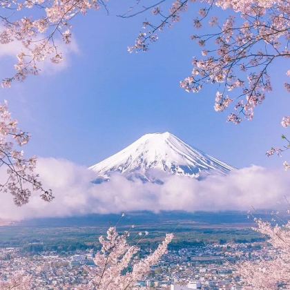 日本大阪+东京7日6晚私家团