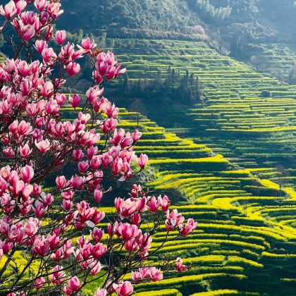 江西南昌+景德镇+婺源+三清山风景区+望仙谷5日4晚私家团