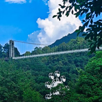 蟠龙洞+龙湾生态旅游区+罗定学宫3日2晚私家团