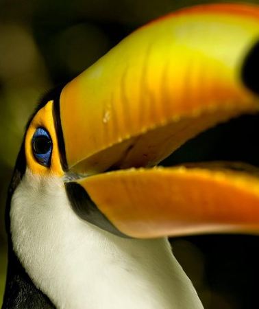 10D9N • Brazil Family Adventure - Private Multi Day Tour