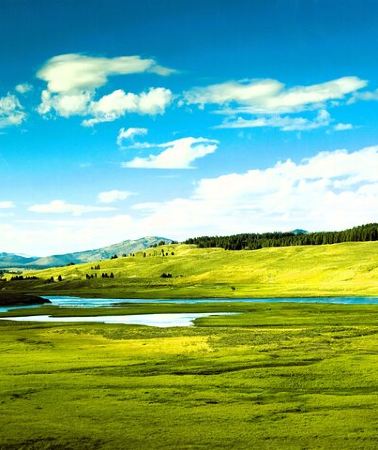 3D2N • From Bozeman InDepth Yellowstone and Teton Tour 3 Day and 2 Night