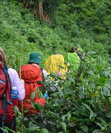 3D2N • 3-Day Chiang Dao Mountain Trek