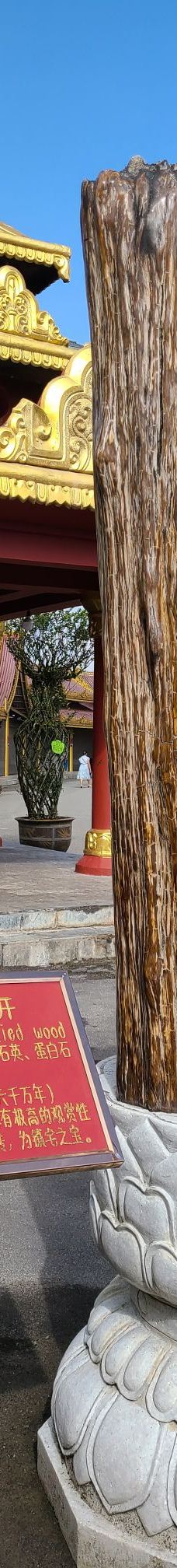 勐焕大金塔-芒市