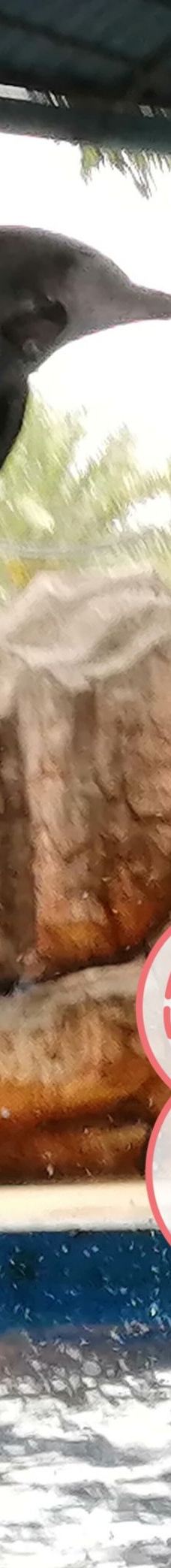 南宁动物园-南宁