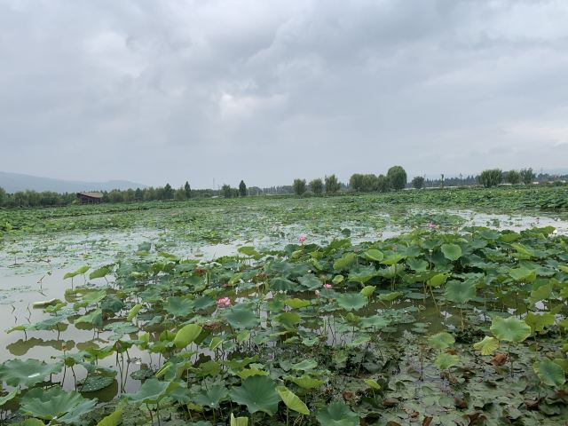麒麟水乡旅行图片 4