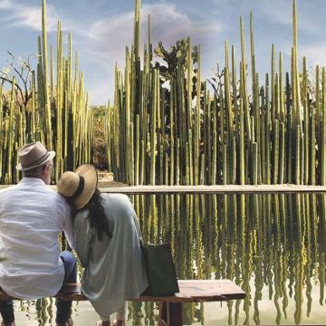 墨西哥瓦哈卡圣多明我教堂+阿尔班山4日3晚私家团