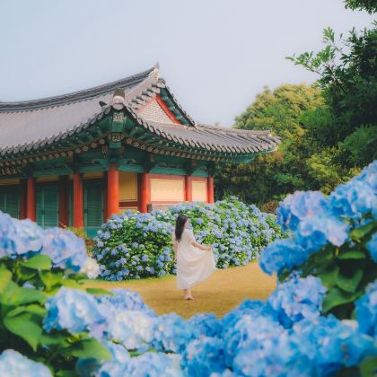 韩国济州岛4日3晚私家团