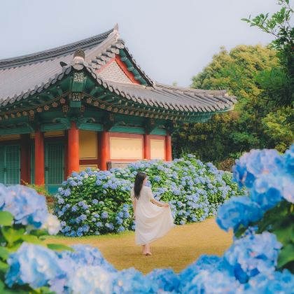 韩国济州岛4日3晚私家团